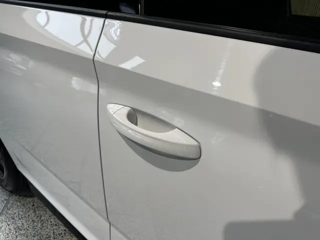 Škoda Kamiq 1.0 TSI Monte Carlo 2024 Benzine 27