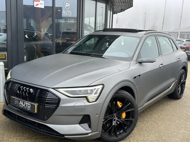 Audi e-tron e-tron 55 quattro 95 kWh 2020 Elektrisch 6