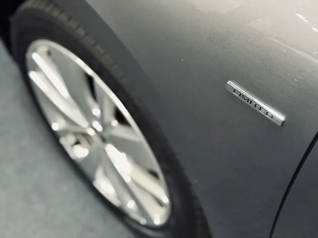 Renault Scénic 1.3 TCe Limited 2019 Benzine 28
