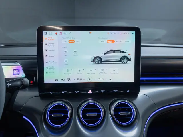 Smart #3 BRABUS 66 kWh 2025 Elektrisch 21