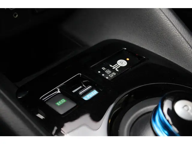 Nissan Leaf e+ Tekna 62 kWh 2020 Elektrisch 36