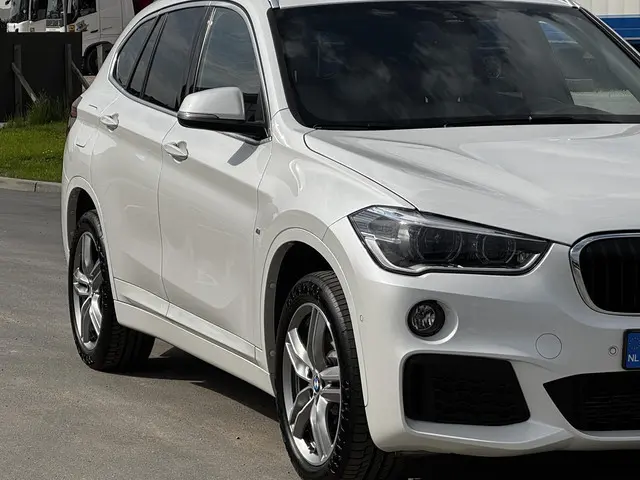 BMW X1 sDrive20i Executive 2018 Benzine 10