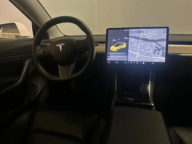 Tesla Model 3 Standard RWD Plus 60 kWh 2019 Elektrisch 14