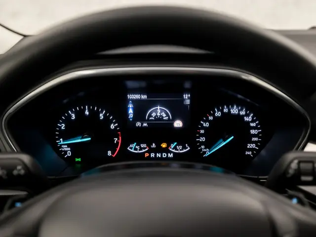 Ford Focus 1.0 EcoBoost Titanium Sport 2019 Benzine 21