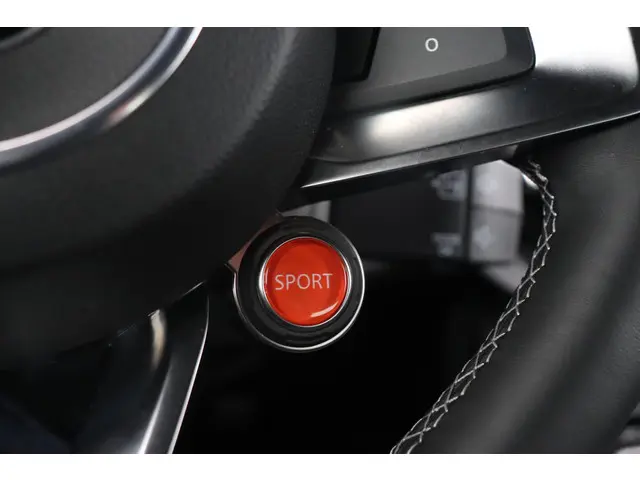 Alpine A110 1.8 GTS 2025 Benzine 22