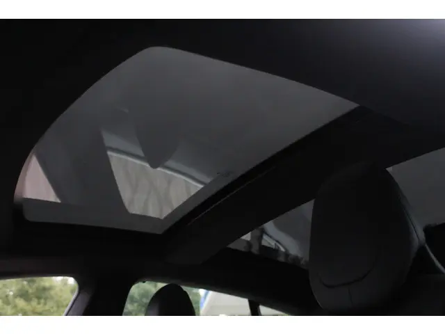 Tesla Model S 100D 2017 Elektrisch 22