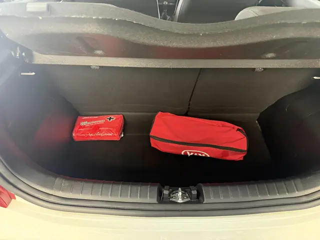 Kia Picanto 1.0 CVVT EconomyPlusLine 2017 Benzine 15