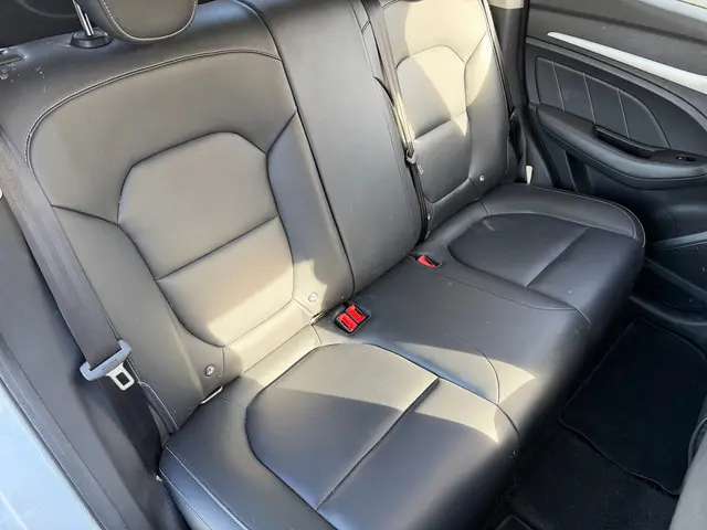 MG ZS EV MG Luxury 45 kWh Aut- 2021 Elektrisch 17