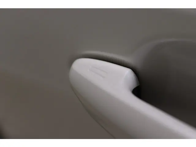 Toyota RAV4 2.5 Hybrid AWD Bi-Tone, 2020 Hybride Benzine 38