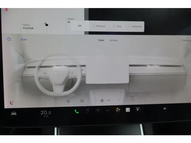 Tesla Model 3 Standard RWD Plus 60 kWh 2020 Elektrisch 49