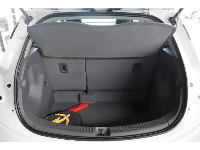 Opel Ampera-e Business executive 60 kWh 2020 Elektrisch 16
