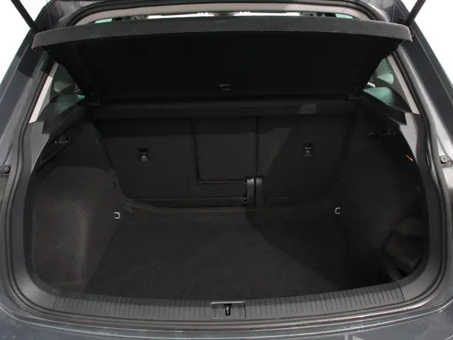 Volkswagen Tiguan 1.5 TSI DSG 150pk Life 2021 Benzine 39
