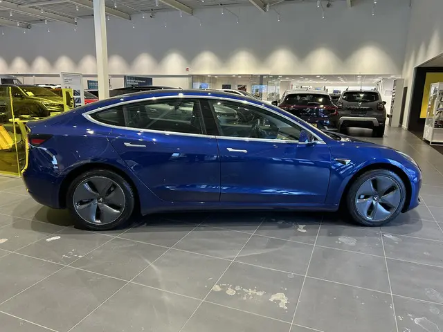 Tesla Model 3 Standard RWD Plus 60 kWh 2020 Elektrisch 12