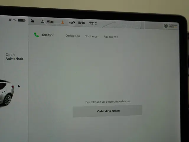 Tesla Model 3 Standard RWD Plus 60 kWh 2021 Elektrisch 37