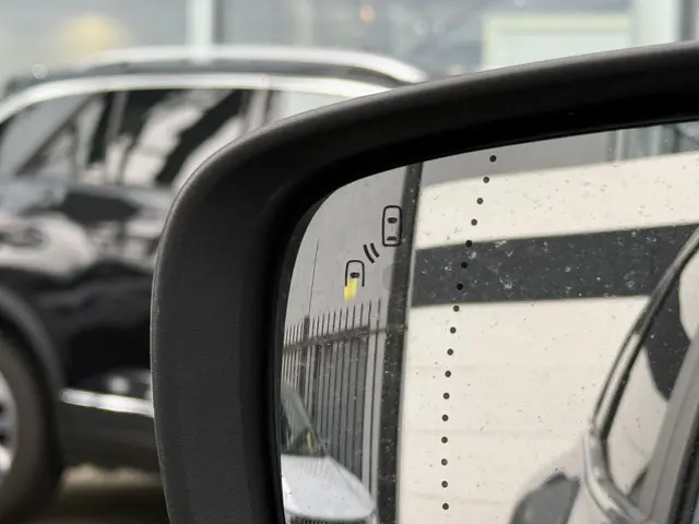 Renault Kadjar 1.3 TCe Bose 2020 Benzine 14