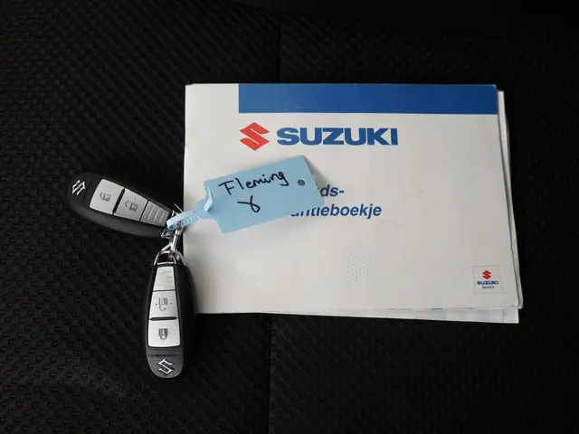Suzuki Ignis 1.2 Smart Hybrid Stijl 2019 Benzine 25
