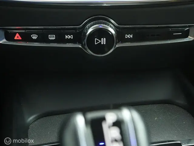 Volvo V60 2.0 T4 Inscription 2019 LPG/Gas 19