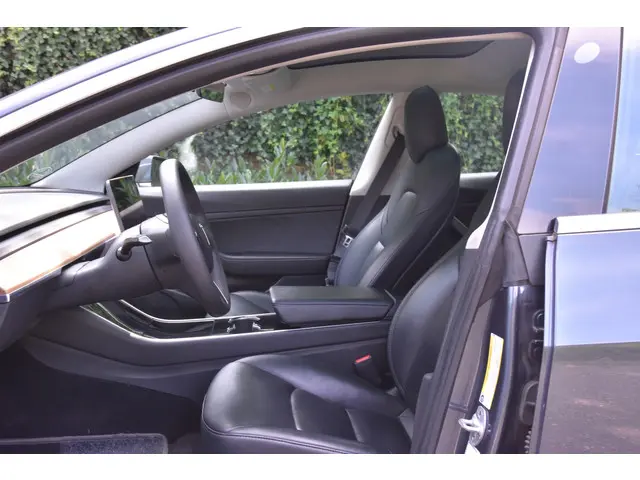 Tesla Model 3 Standard RWD Plus 60 kWh 2020 Elektrisch 7