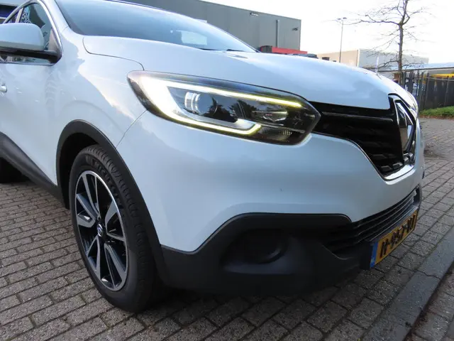 Renault Kadjar 1.2 TCe Life 2016 Benzine 8