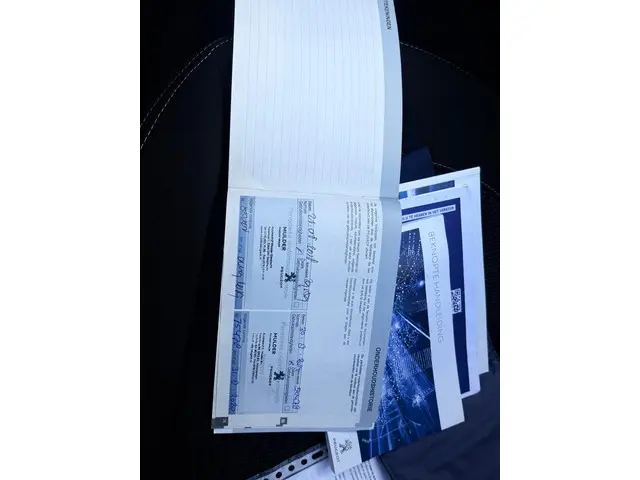 Peugeot 208 1.2 PureTech Blue Lion 2017 Benzine 17