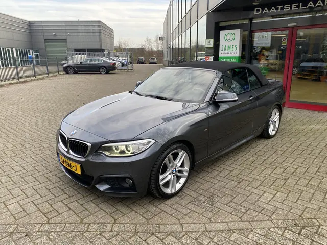 BMW 2 Serie Cabrio 220i M-Sport Leer 2016 Benzine 18