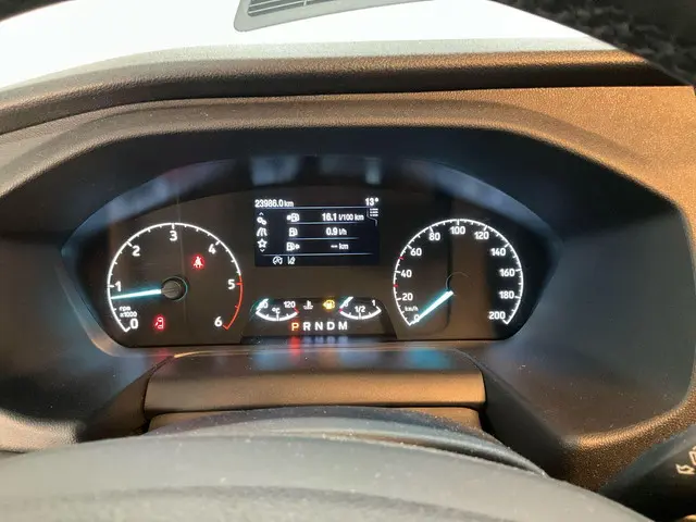 Ford Transit 350 2.0 TDCI L3H2 Trend 2024 Diesel 10