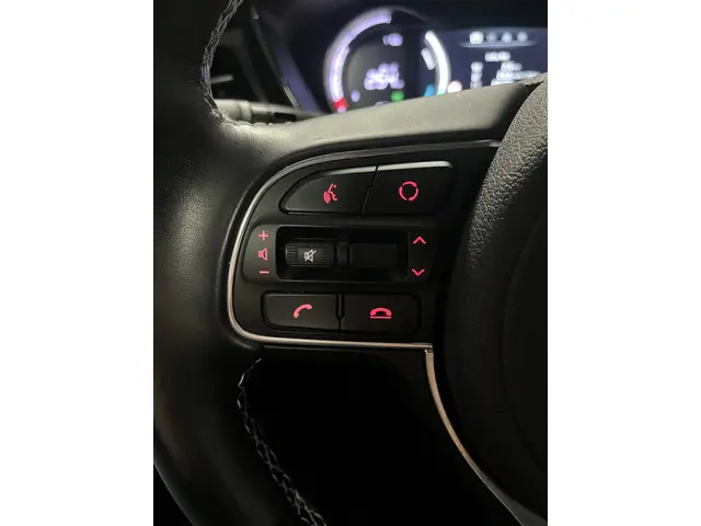 Kia e-Niro ExecutiveLine 64 kWh 2021 Elektrisch 26