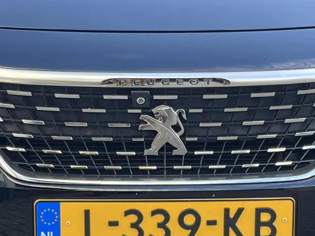 Peugeot 3008 1.6 PureTech GT Line 2020 Benzine 52