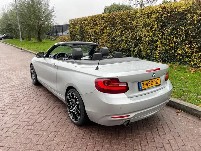 BMW 2 Serie Cabrio 220i 2016 Benzine 12