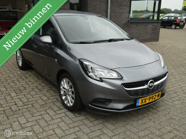 Opel Corsa 1.0 Turbo 120 Jaar Edition 2019 Benzine 8