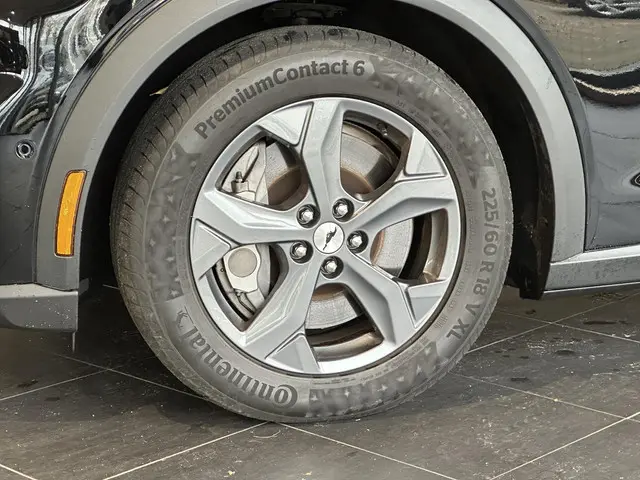 Ford Mustang Mach-E RWD 75 kWh 2021 Elektrisch 38