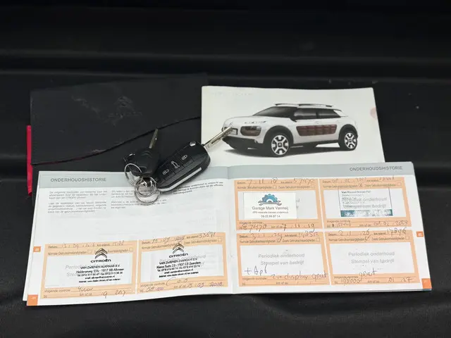 Citroën C4 Cactus 1.2 PureTech Business 2015 Benzine 22