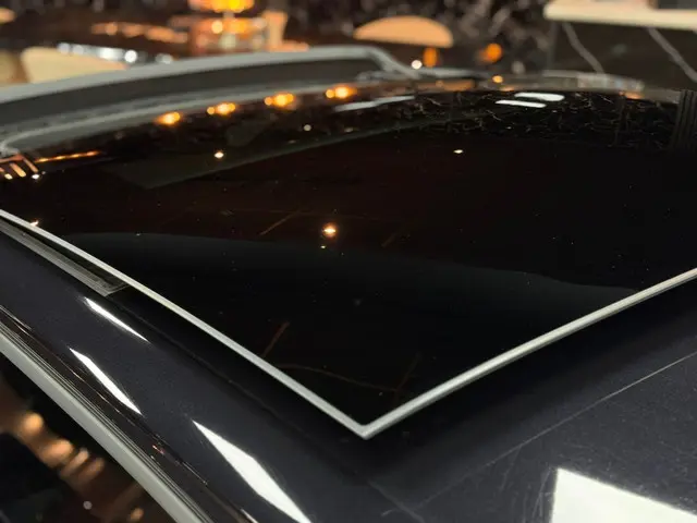 Volkswagen Golf 2.0 TSI GTI|PANO|STOELVER|ACC 2022 Benzine 9