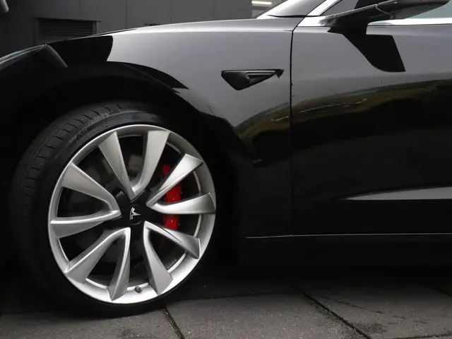 Tesla Model 3 Performance AWD 75 kWh 2019 Elektrisch 24