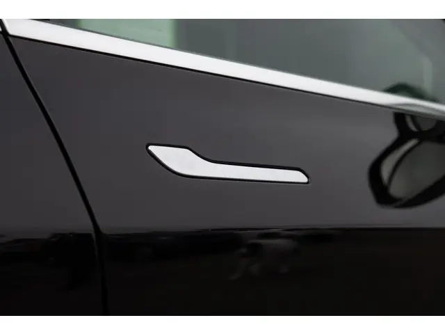 Tesla Model 3 Long Range AWD 75 kWh 2019 Elektrisch 46
