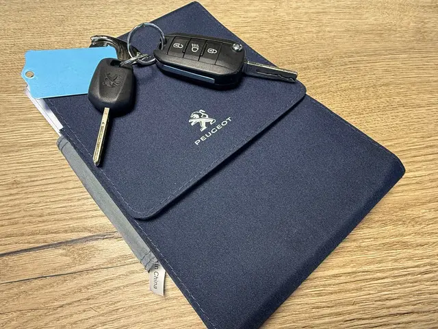 Peugeot 208 1.2 PureTech Blue Lion / APK 2018 Benzine 24