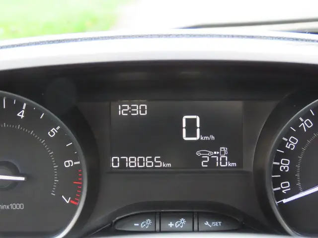 Peugeot 208 1.2 PureTech Like 2018 Benzine 14