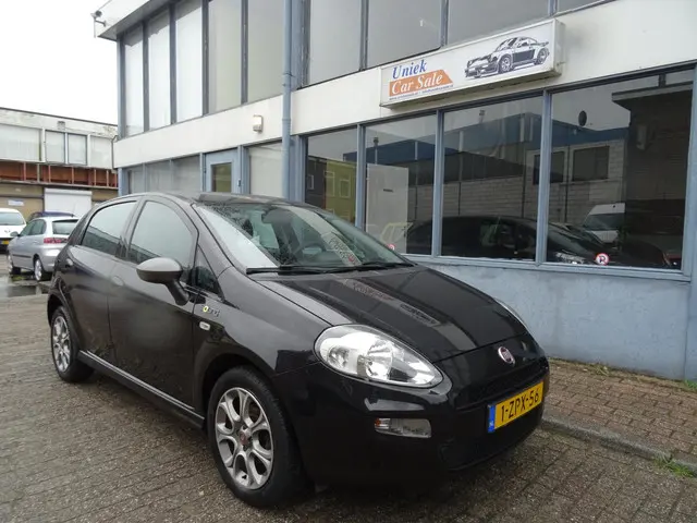 Fiat Punto Evo 0.9 TwinAir Young 2015 Benzine 6