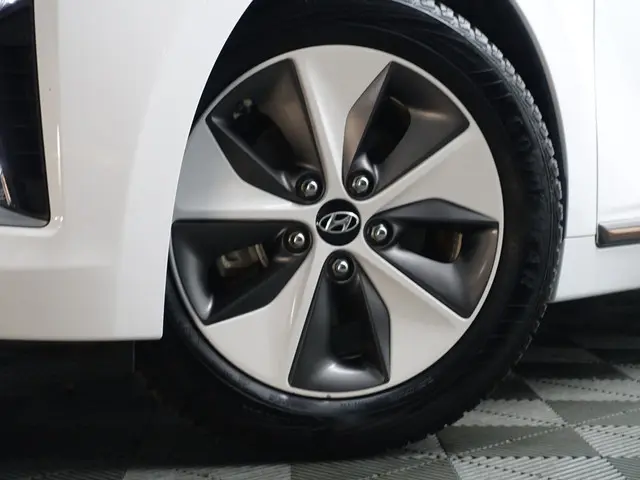 Hyundai IONIQ Premium EV Aut- 2018 Elektrisch 28