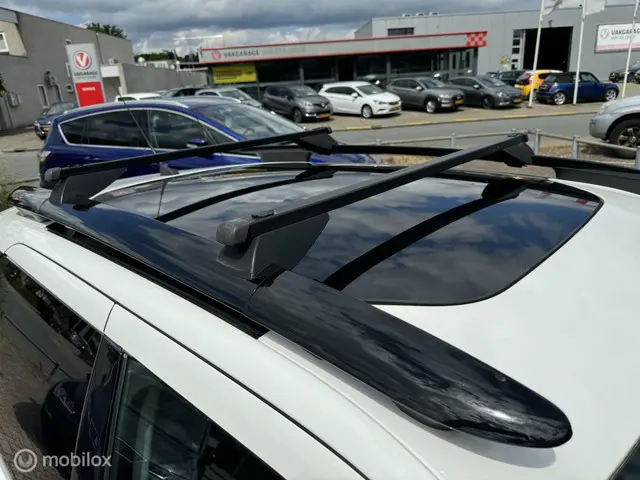 Citroën C4 Cactus 1.2 e-VTi Shine 2014 Benzine 12