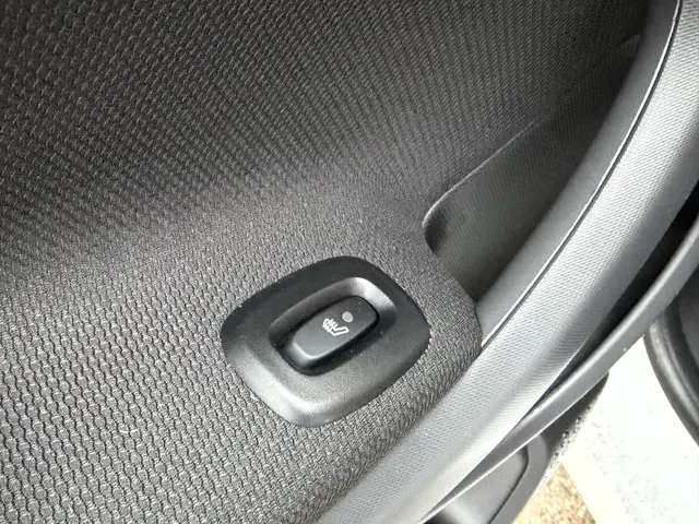 Smart Forfour EQ Comfort 18 kWh 2019 Elektrisch 7