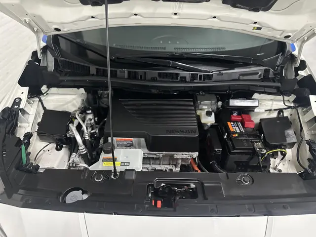 Nissan Leaf e+ Tekna 62 kWh 2021 Elektrisch 27