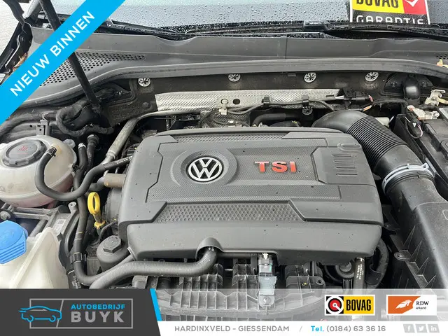 Volkswagen Golf 2.0 TSI GTI TCR 2019 Benzine 50