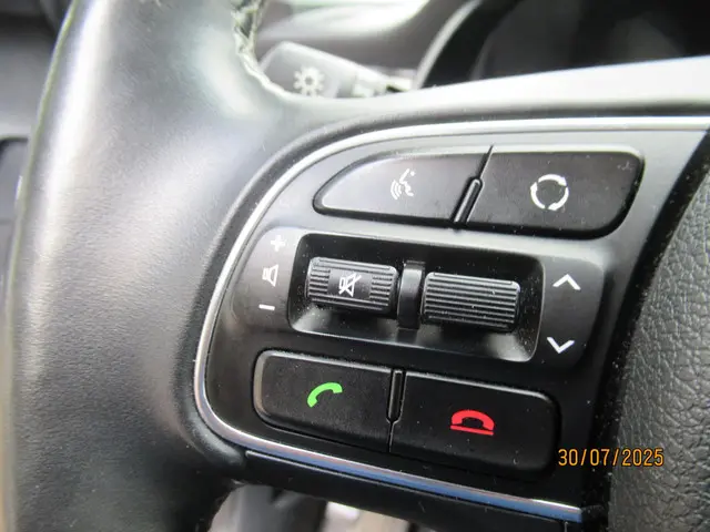 Kia Niro 1.6 GDi PHEV BusinessLine 2018 Hybride Benzine 19