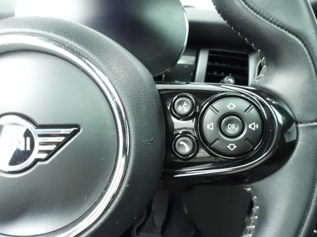 MINI Electric 3-deurs SE 2020 Elektrisch 14