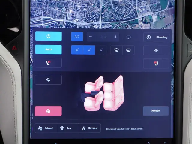 Tesla Model X Long Range 100Kwh 2020 Elektrisch 39