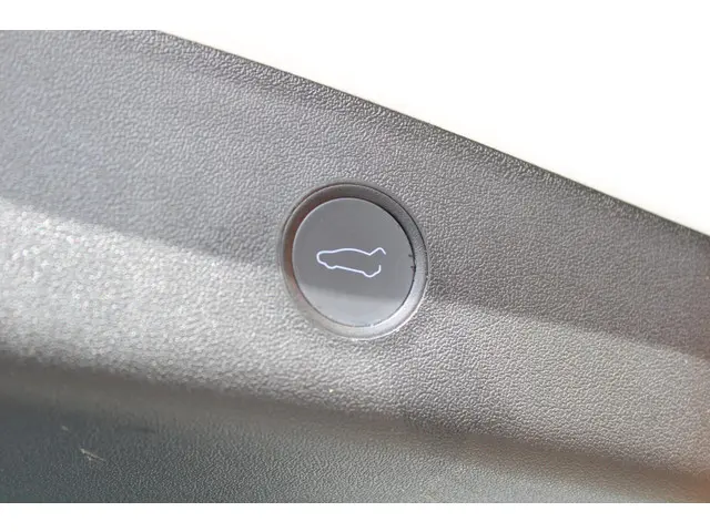 Tesla Model 3 Standard RWD Plus 60 kWh 2022 Elektrisch 16