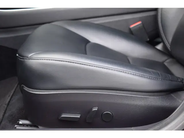 Tesla Model 3 Standard RWD Plus 60kWh 2020 Elektrisch 22