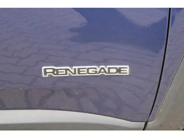 Jeep Renegade 1.3T Freedom 2019 Benzine 15