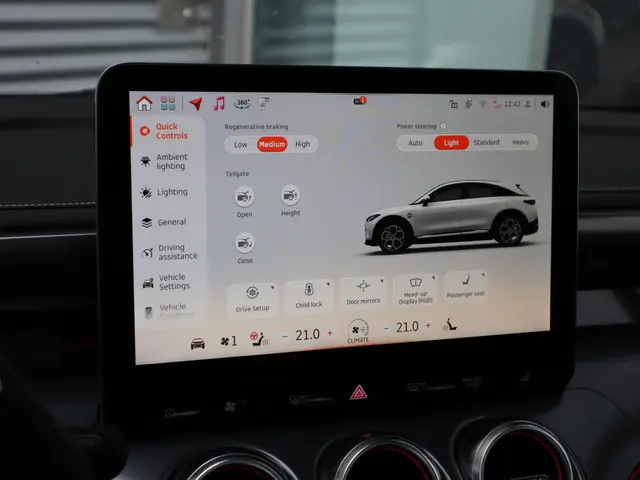 Smart #3 Premium 66 kWh 2025 Elektrisch 27